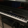 Berdux 115 Silent von 2019 in Black glossy