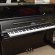 Berdux F 126 von 2019 in Black glossy