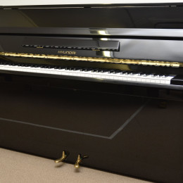 - Andere Marke - 106 von 1997 in Black glossy