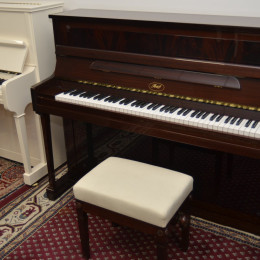 Ibach 115 von 1983 in Mahagony glossy