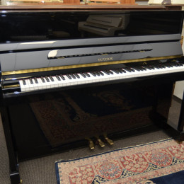 Euterpe EU-112 von 2007 in Black glossy