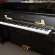 Essex EUP – 116 von 2007 in Black glossy