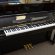 Essex EUP – 116 von 2007 in Black glossy