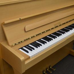 Sauter Sondermodell 114 von 1998 in Beech matt